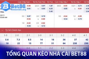 Tổng quan kèo nhà cái Bet88